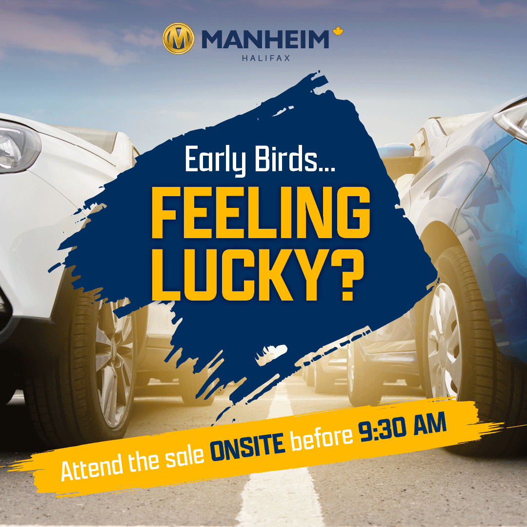 Manheim Toronto Dealer August Event