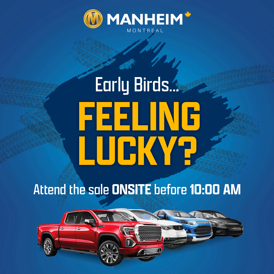 Manheim Toronto Dealer August Event